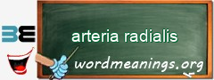 WordMeaning blackboard for arteria radialis